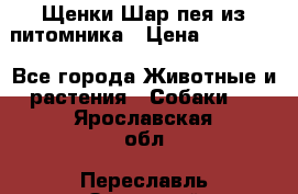 Щенки Шар пея из питомника › Цена ­ 25 000 - Все города Животные и растения » Собаки   . Ярославская обл.,Переславль-Залесский г.